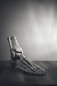 otto norin FAdw0aRMXp4 unsplash