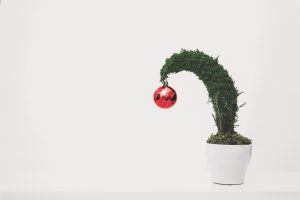 scott webb Nqr jSOp01Y unsplash