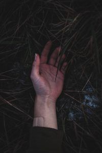 matilda vistbacka GACsXKBm0qU unsplash